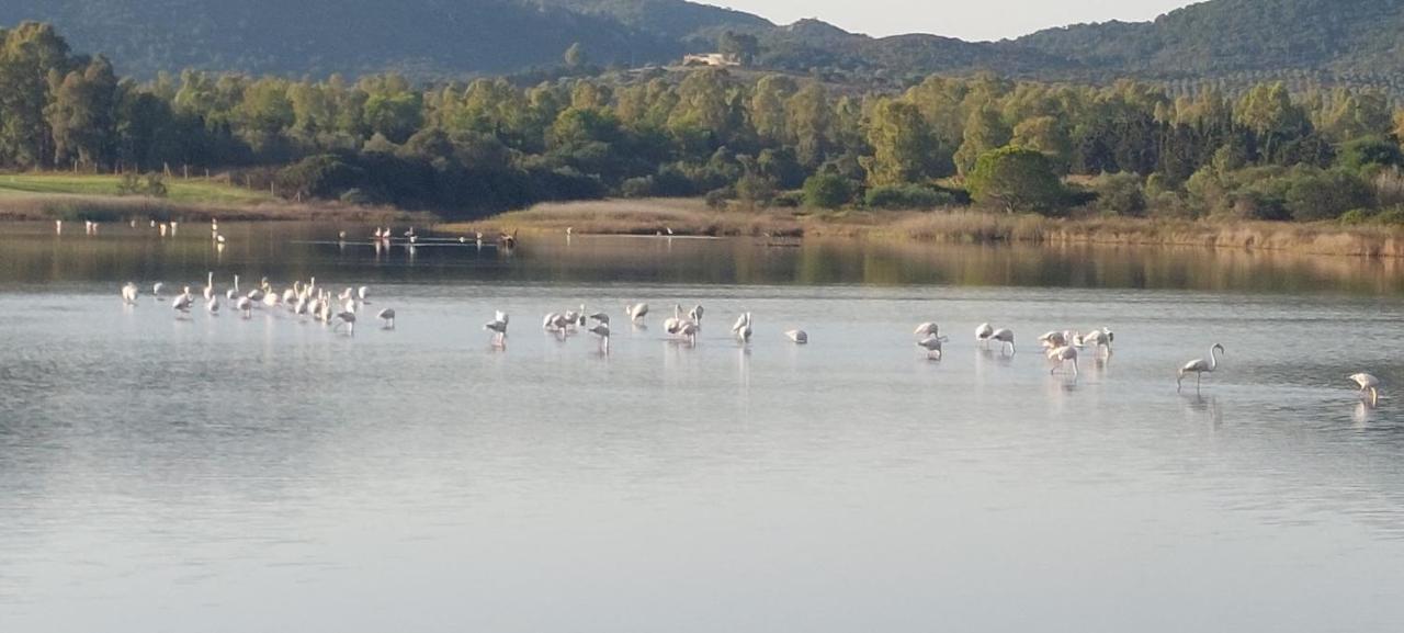 Domoemare Otel Siniscola Dış mekan fotoğraf
