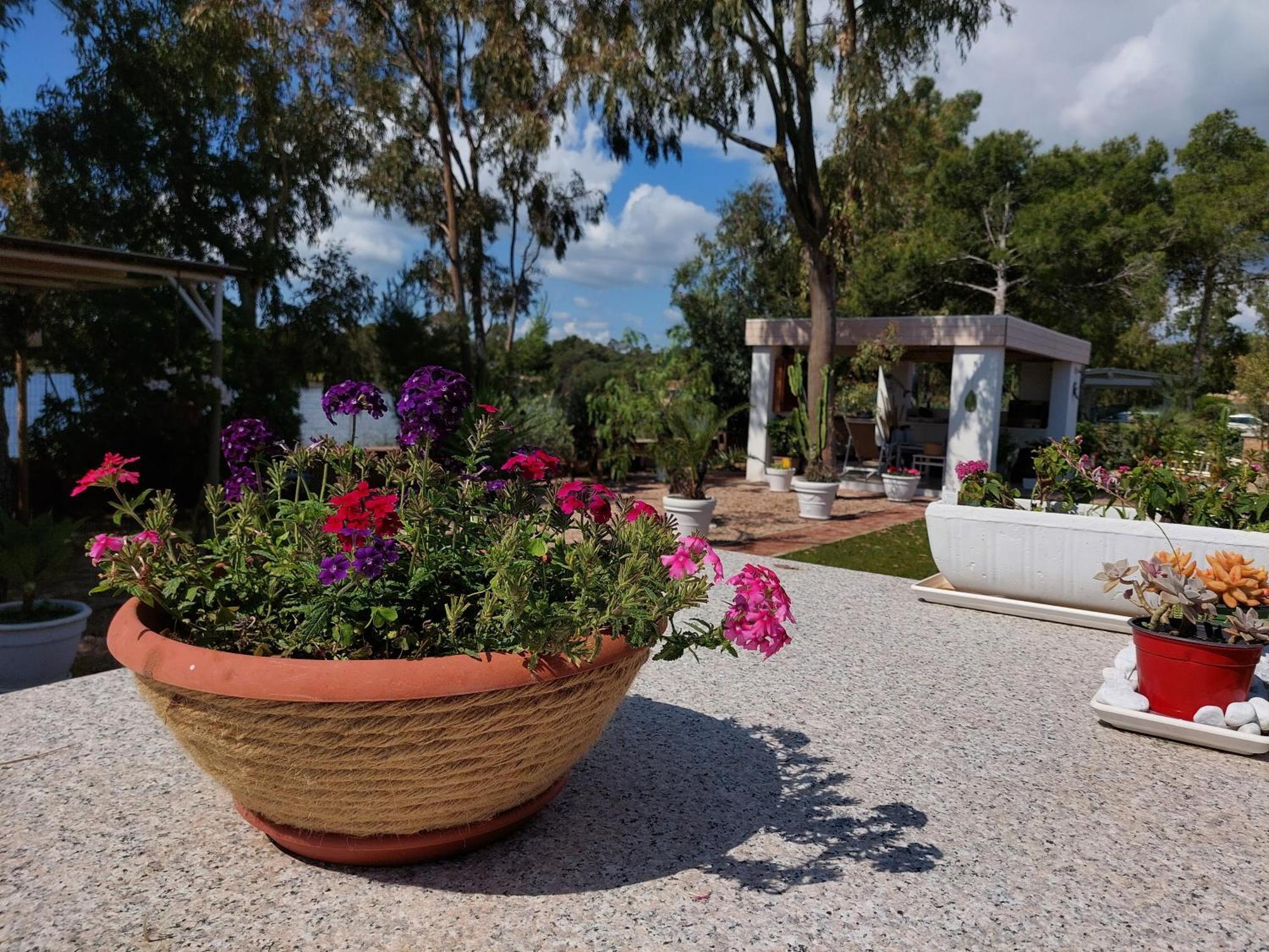 Domoemare Otel Siniscola Dış mekan fotoğraf